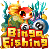 Bingo Fishing on vt443